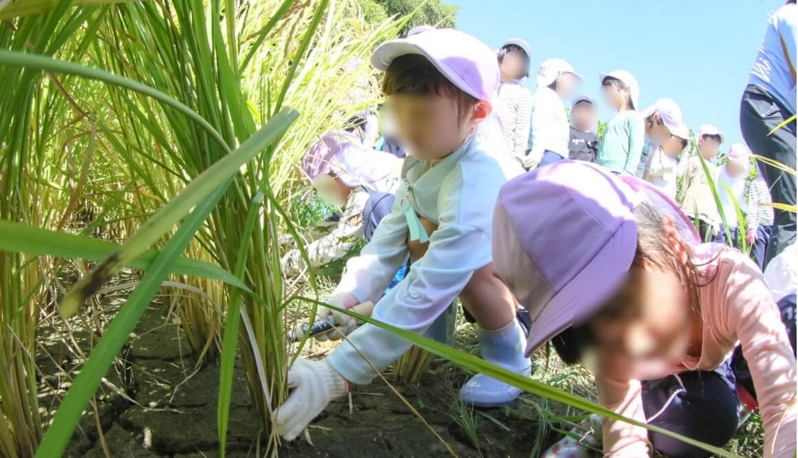 五月山こども園の今月の様子