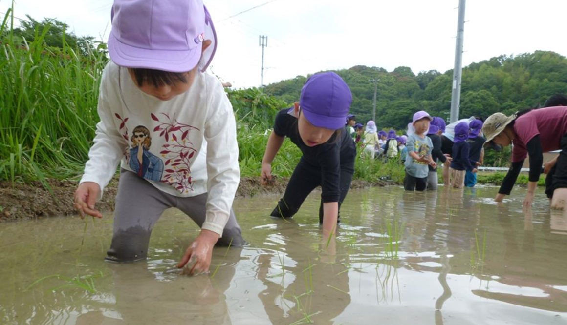 五月山こども園の今月の様子