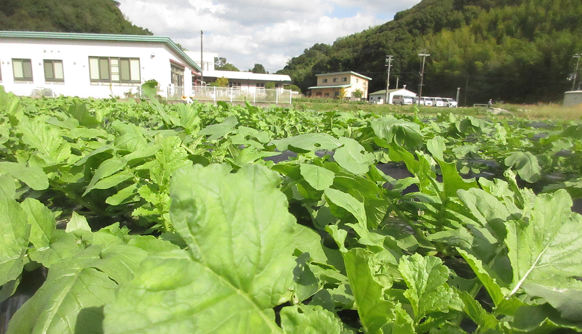 みなみ工房の今月の様子