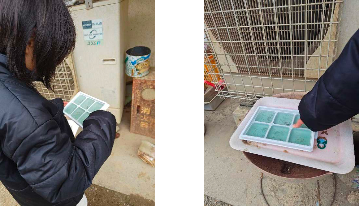 学童保育きたのかみの今月の様子