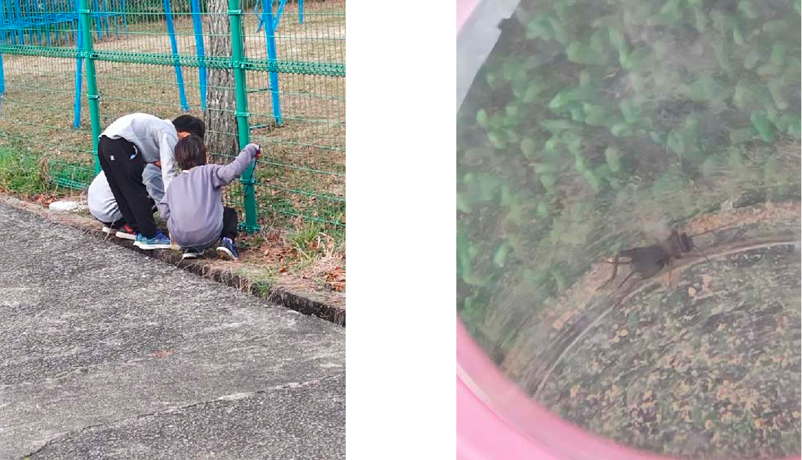 学童保育きたのかみの今月の様子