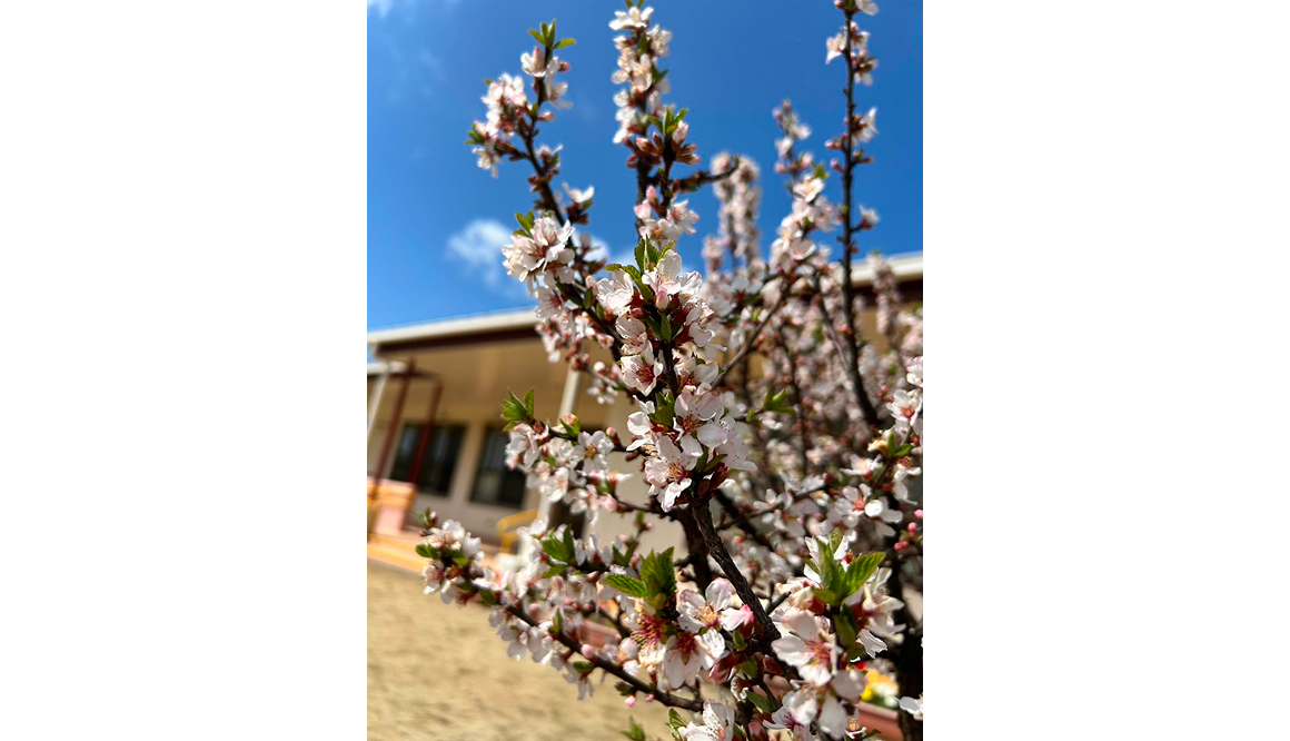 五月山こども園の今月の様子